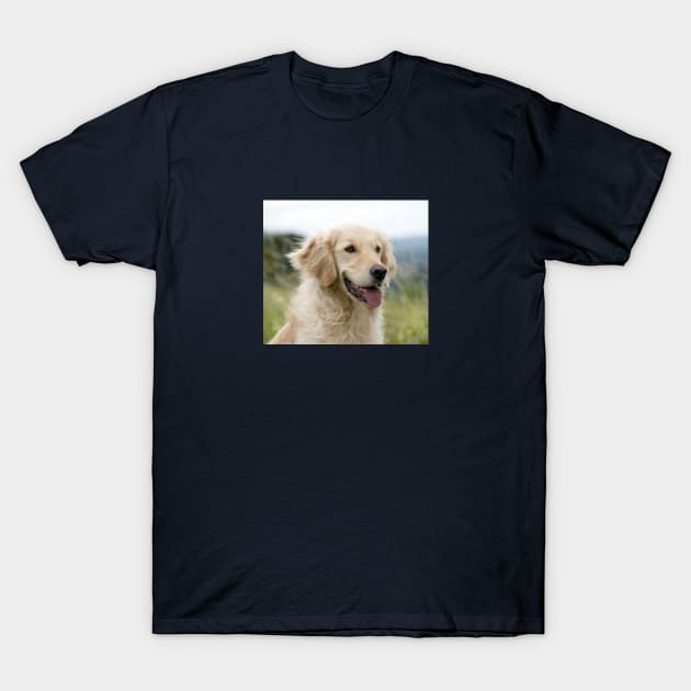 Golden Retriever Dog T-Shirt by ScienceSource